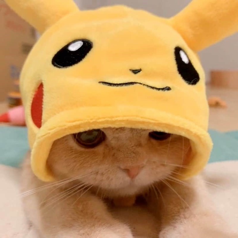 hat