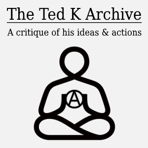 www.thetedkarchive.com