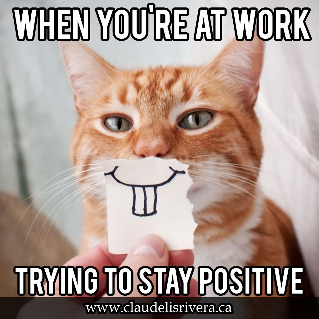 C8f9XtmXYAANzLx.jpg