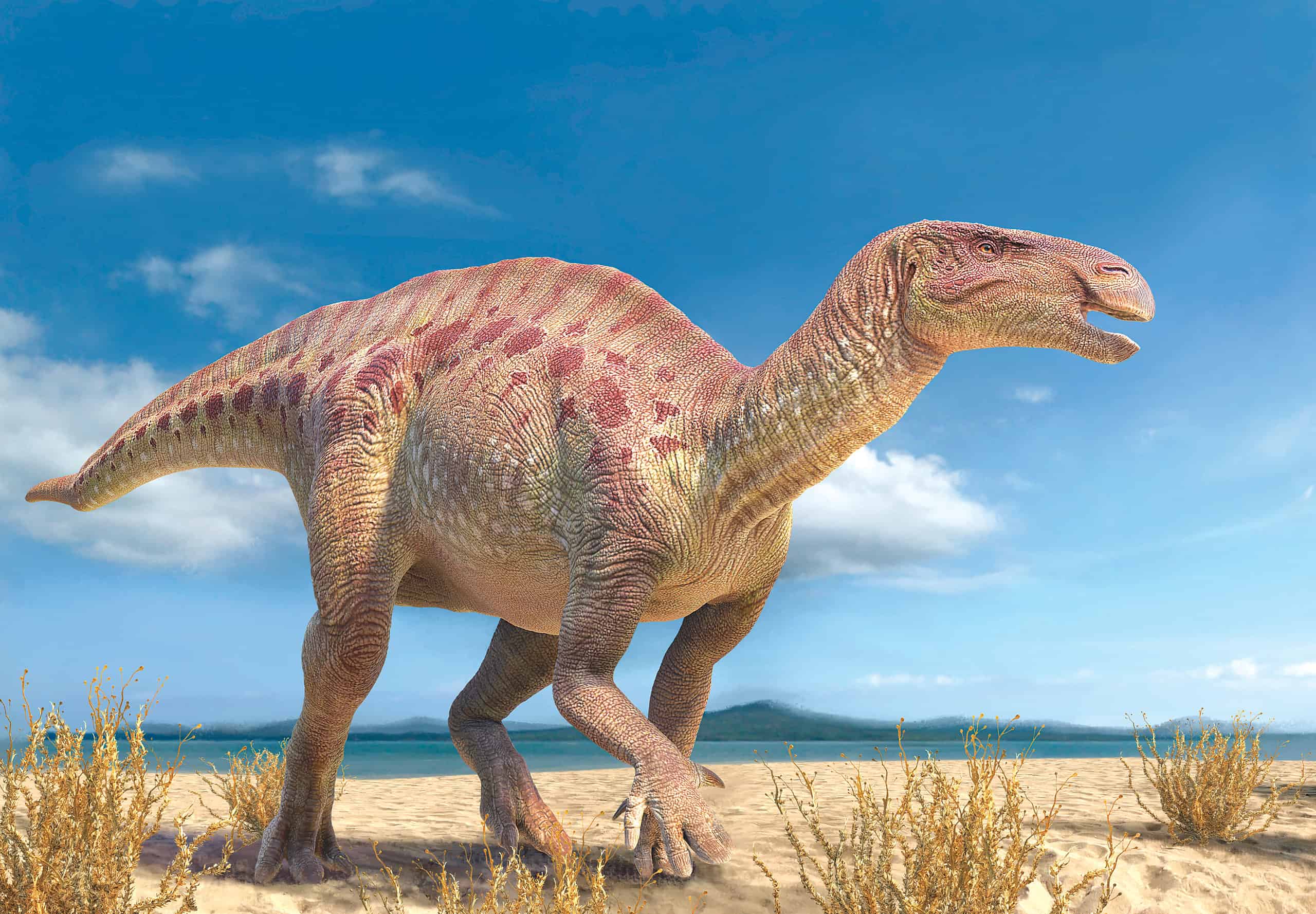 Iguanodon-header.jpg