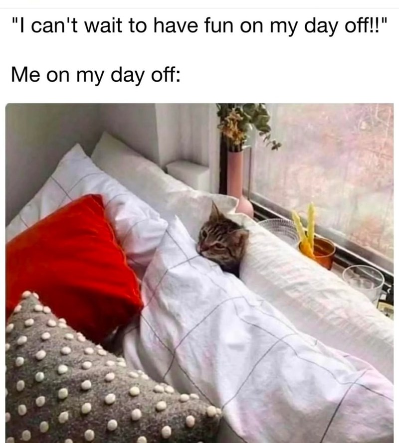 cant-wait-have-fun-on-my-day-off-on-my-day-off