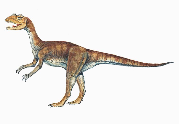 Sarcosaurus-nhm.ac.uk__c2f7.jpg