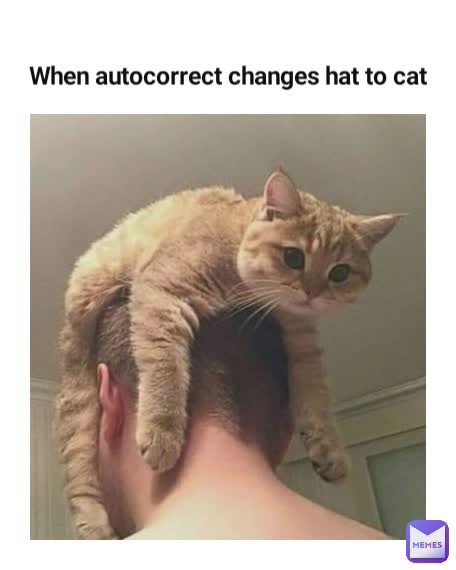 1623609394356.jpg