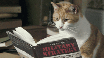 Sun Tzu Cat GIF