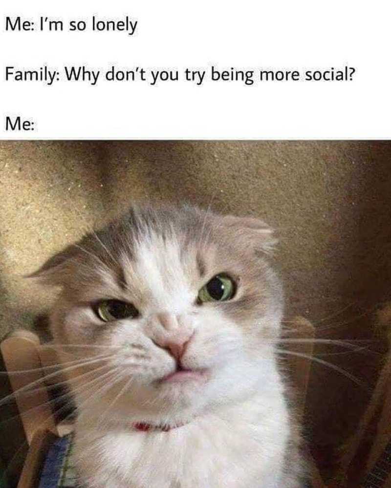 so-lonely-family-why-dont-try-being-more-social