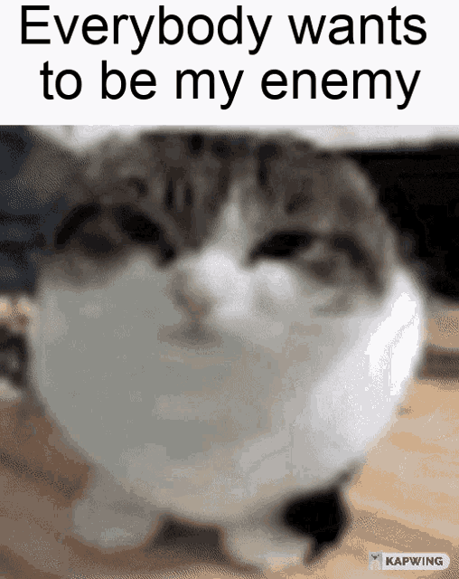 tenor.gif