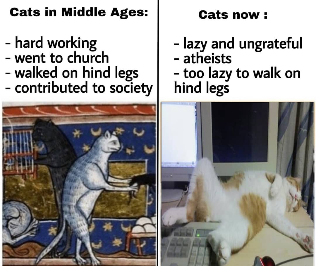 XGKNrkd.jpg