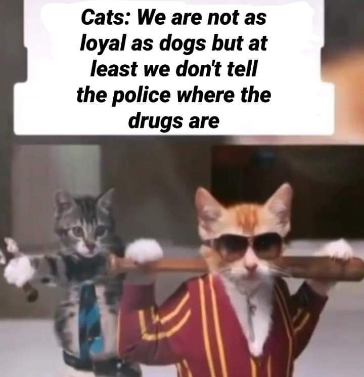 8bqygmvvfuz41.jpg