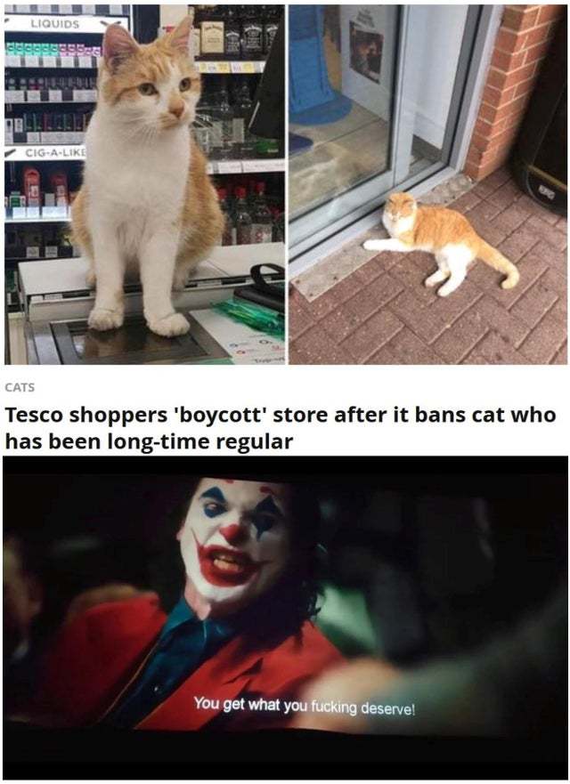 5de669f42683a.jpeg