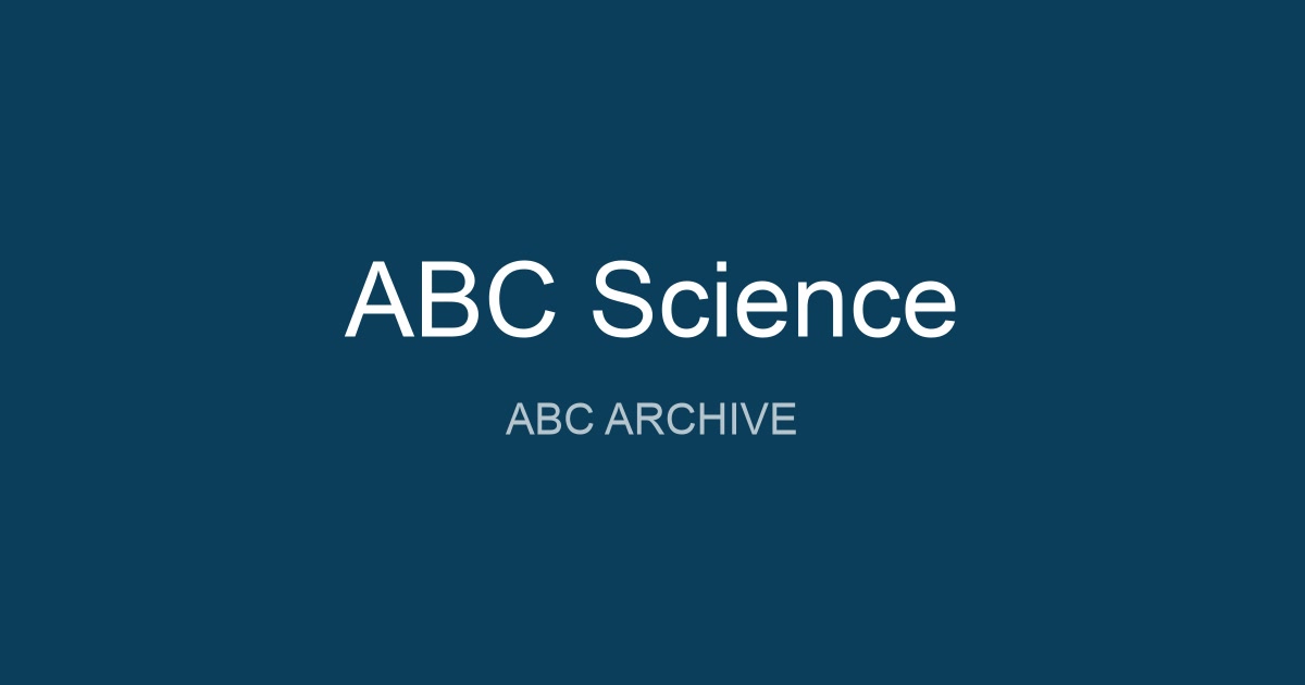 www.abc.net.au