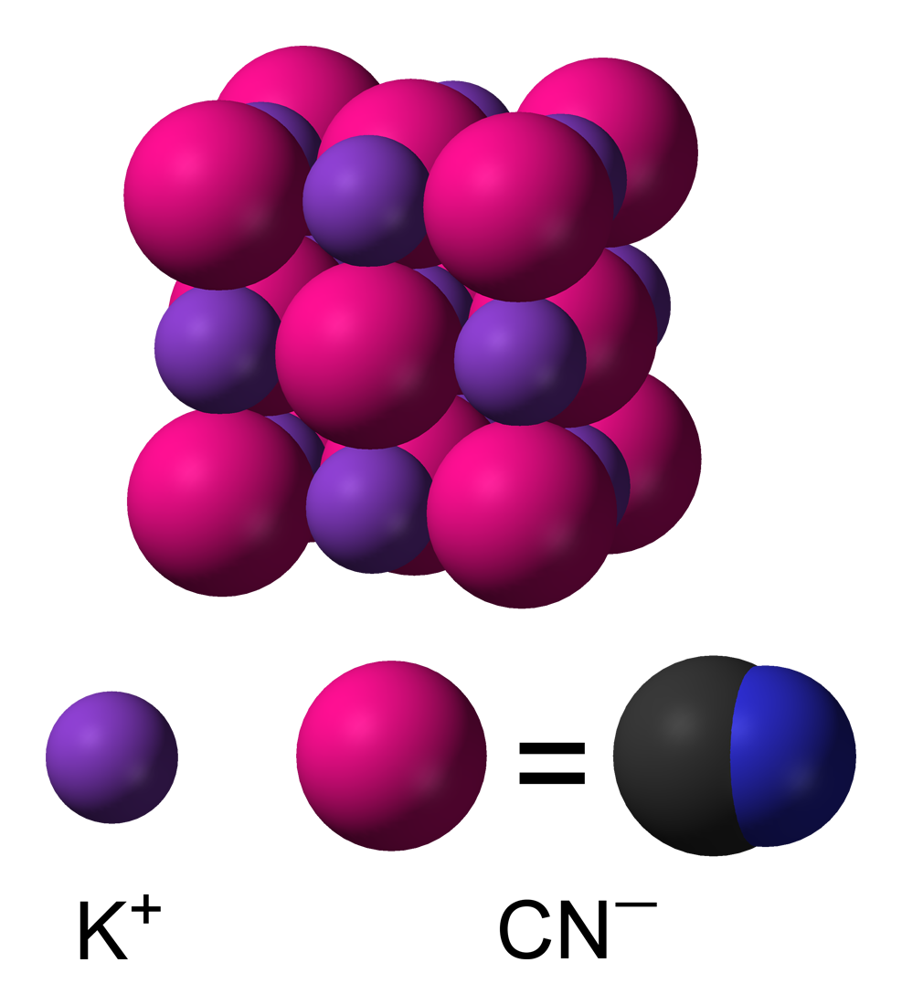 en.wikipedia.org