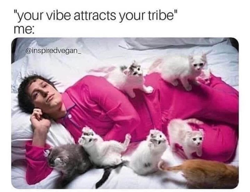 vibe-attracts-tribe-inspiredvegan_