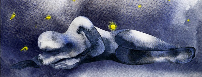 rootedinrights.org