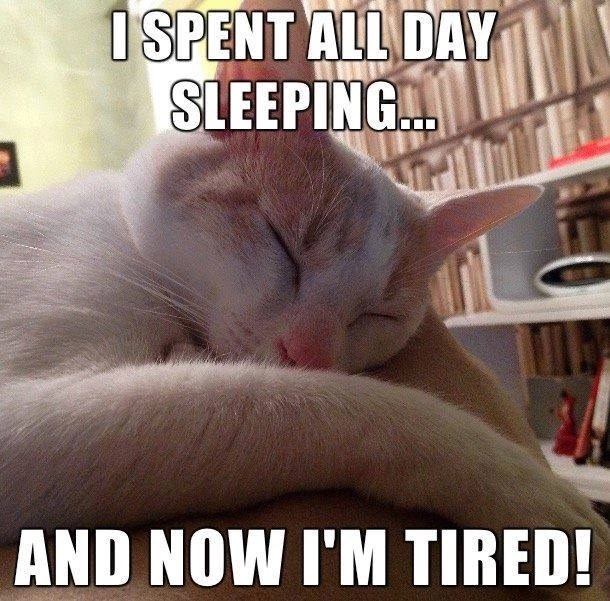 spent-all-day-sleeping-and-now-tired