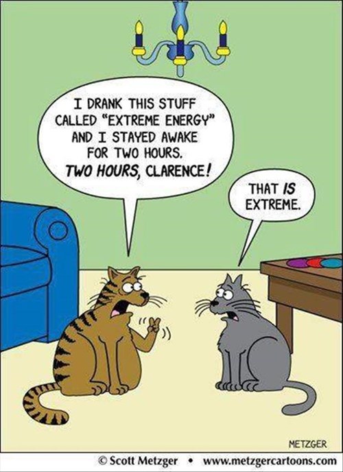 a-cats-idea-of-insomnia