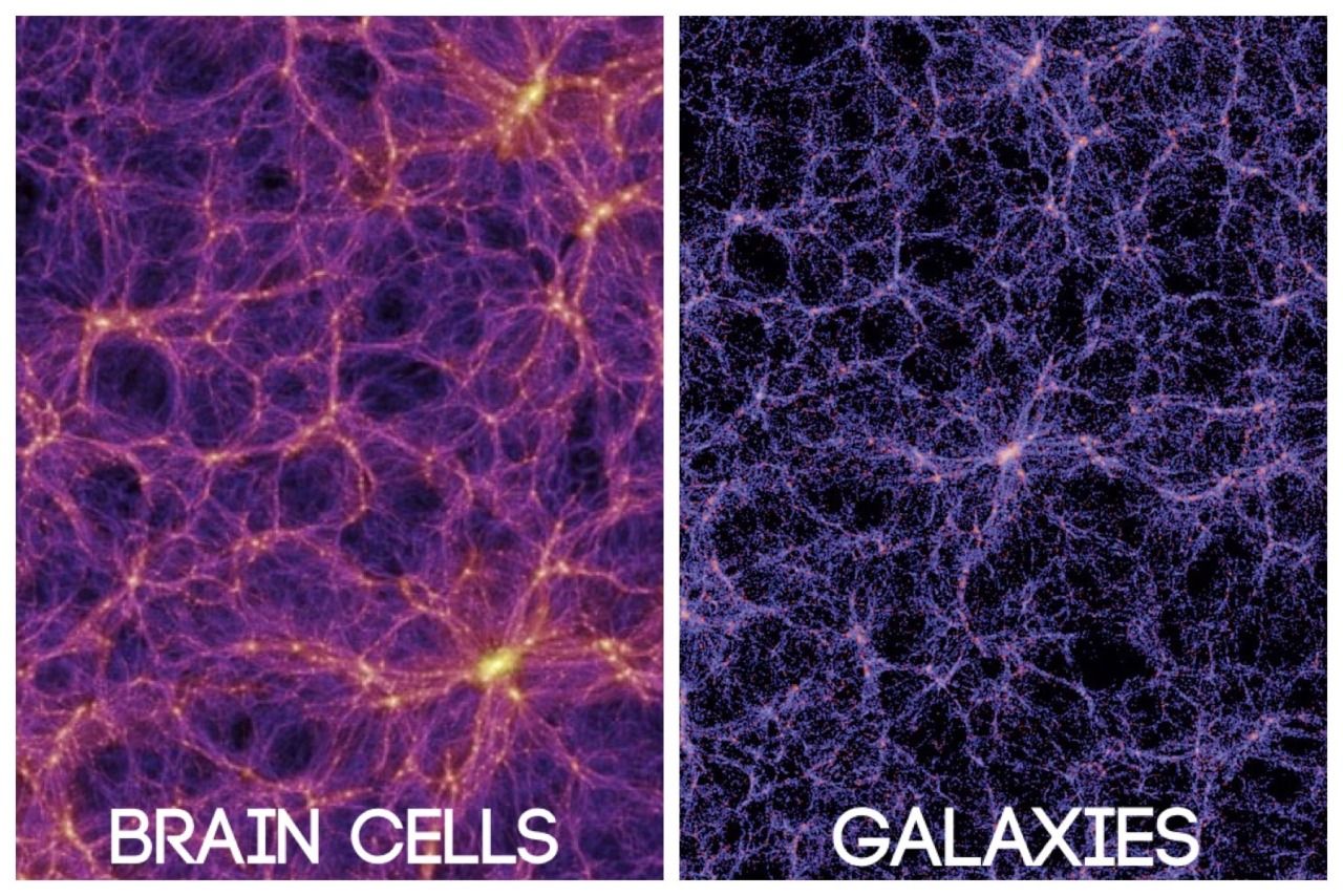 181628_brain-cell-galaxy.jpg