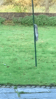 Mood Fails GIF by JustViral