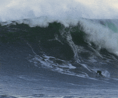 Fun Beach GIF by Red Bull