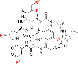 buy Amanitotoxin