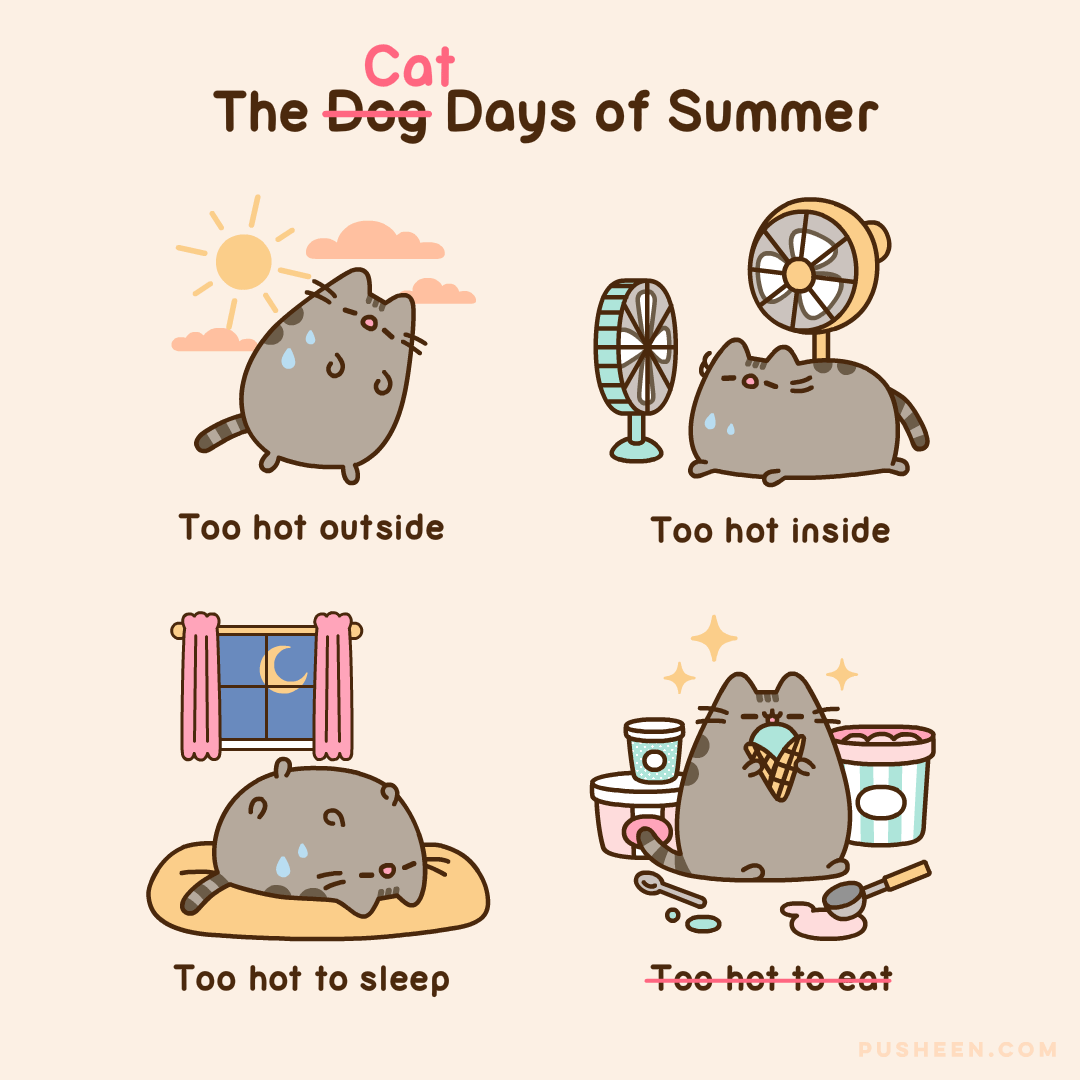 The-Cat-Days-of-Summer.gif