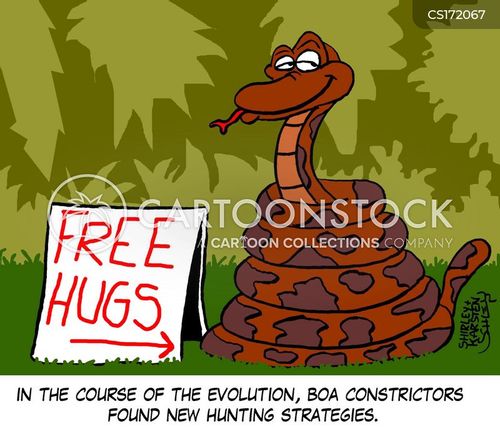 animals-evolve-evolving-evolutions-boa_constrictor-snake-kscn3114_low.jpg