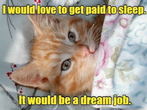 dream-on
