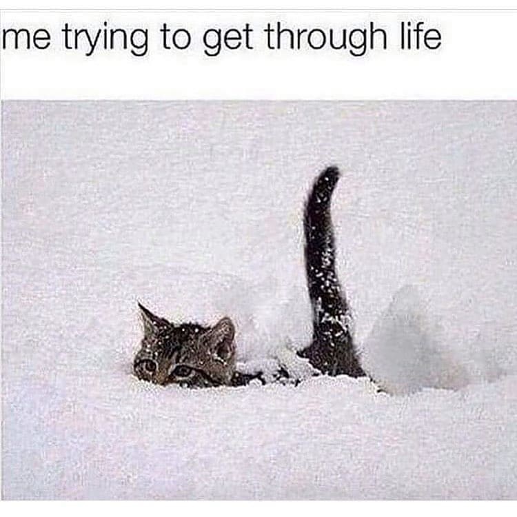 trying-get-through-life-3