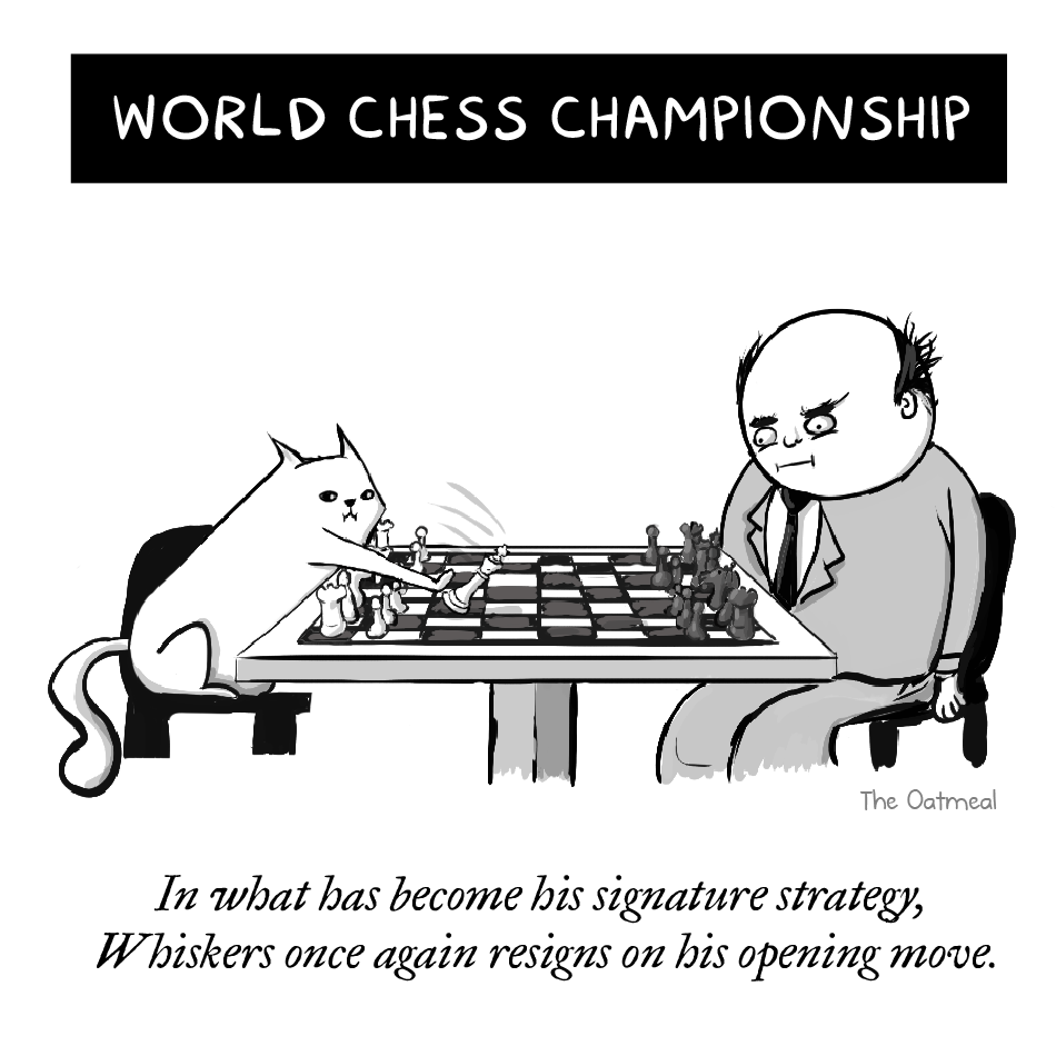 chess_cat.png