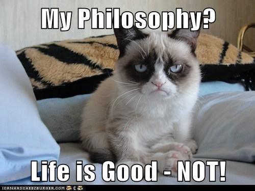 grumpy-cats-advice-of-the-day