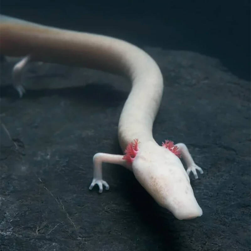 olm-photoshare.jpg