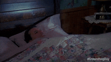Bill Murray GIF by Groundhog Day