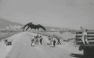 vintage spider GIF