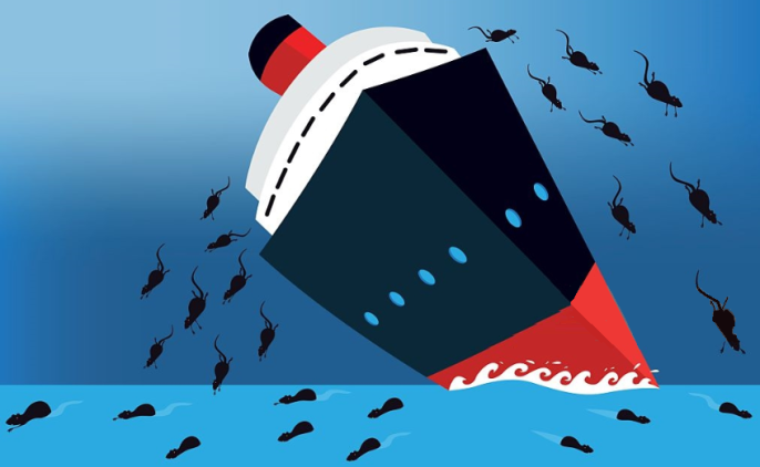 rats-ship-sinking.png