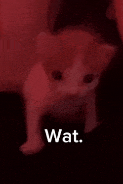 tenor.gif