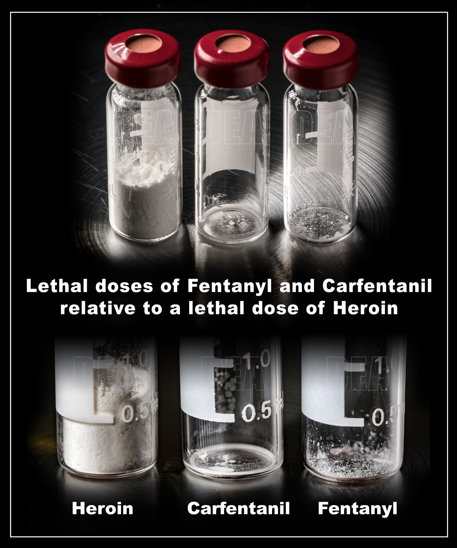 fentanyl-carfentanil-heroin-lethal-dose.jpg
