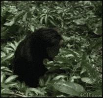 creepy scary gif GIF