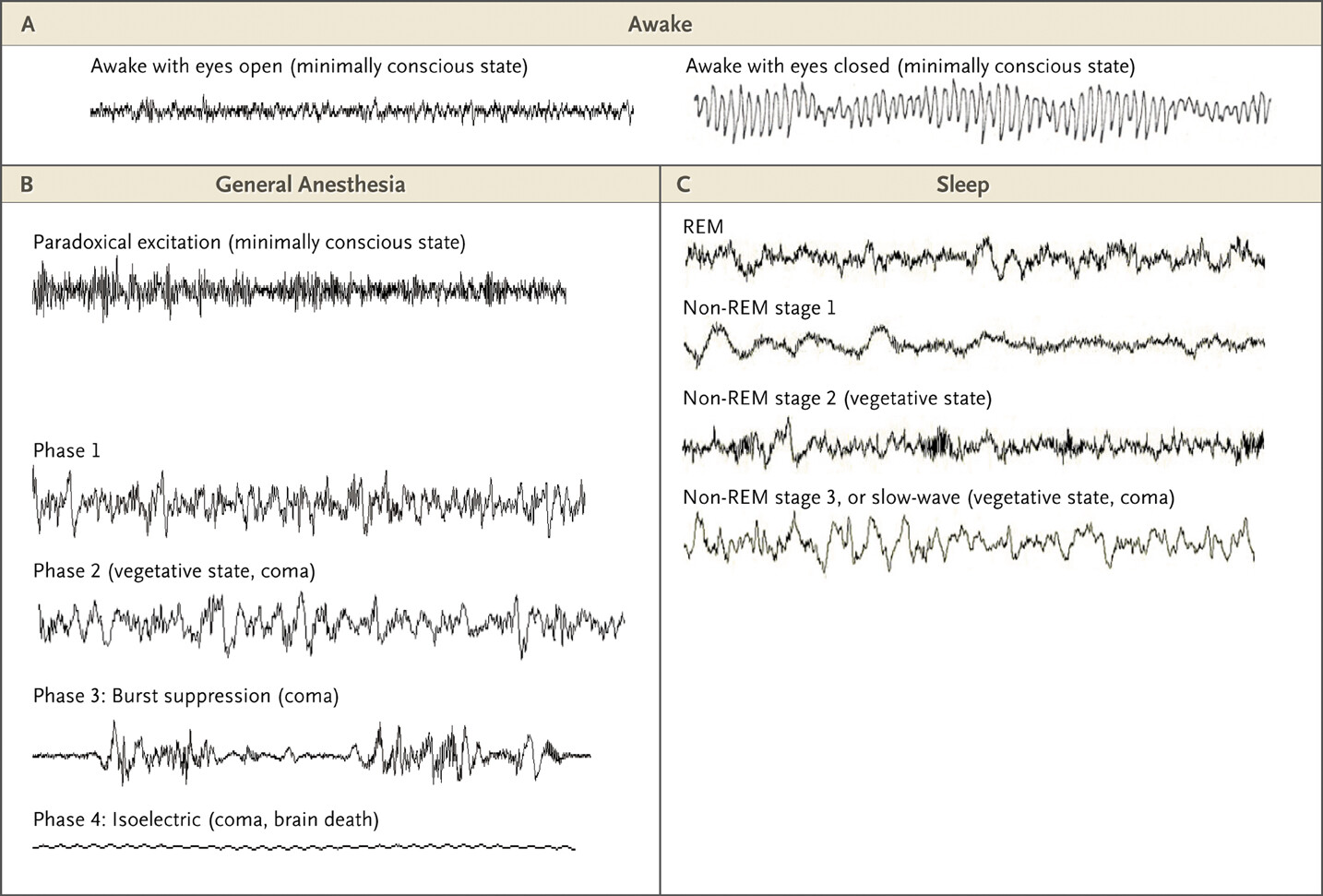 www.nejm.org