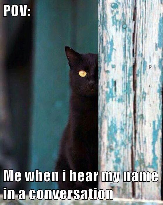pov-me-when-i-hear-my-name-in-a-conversation