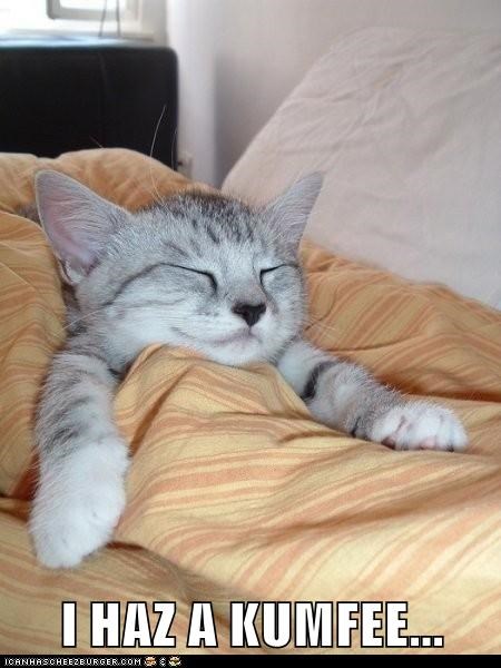 i-haz-a-kumfee