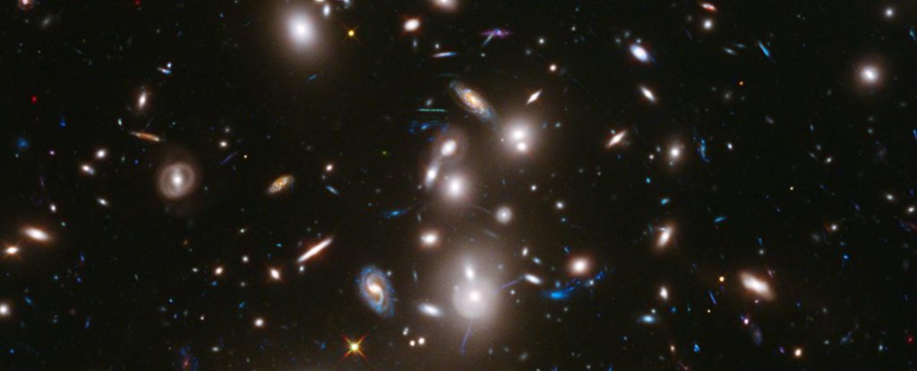 www.sciencealert.com