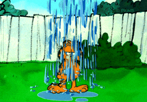 cat rain GIF by Garfield