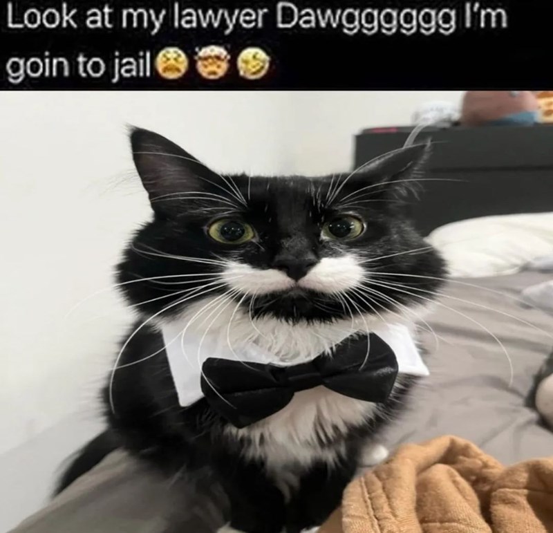 look-at-my-lawyer-dawgggggg-goin-jail