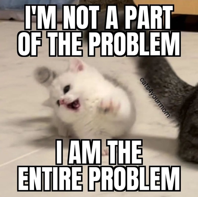 not-part-problem-cats4yourmom-am-entire-problem