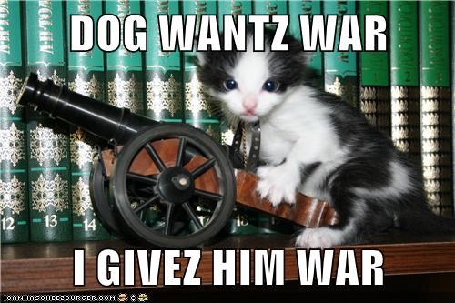 dog-wantz-war-i-givez-him-war