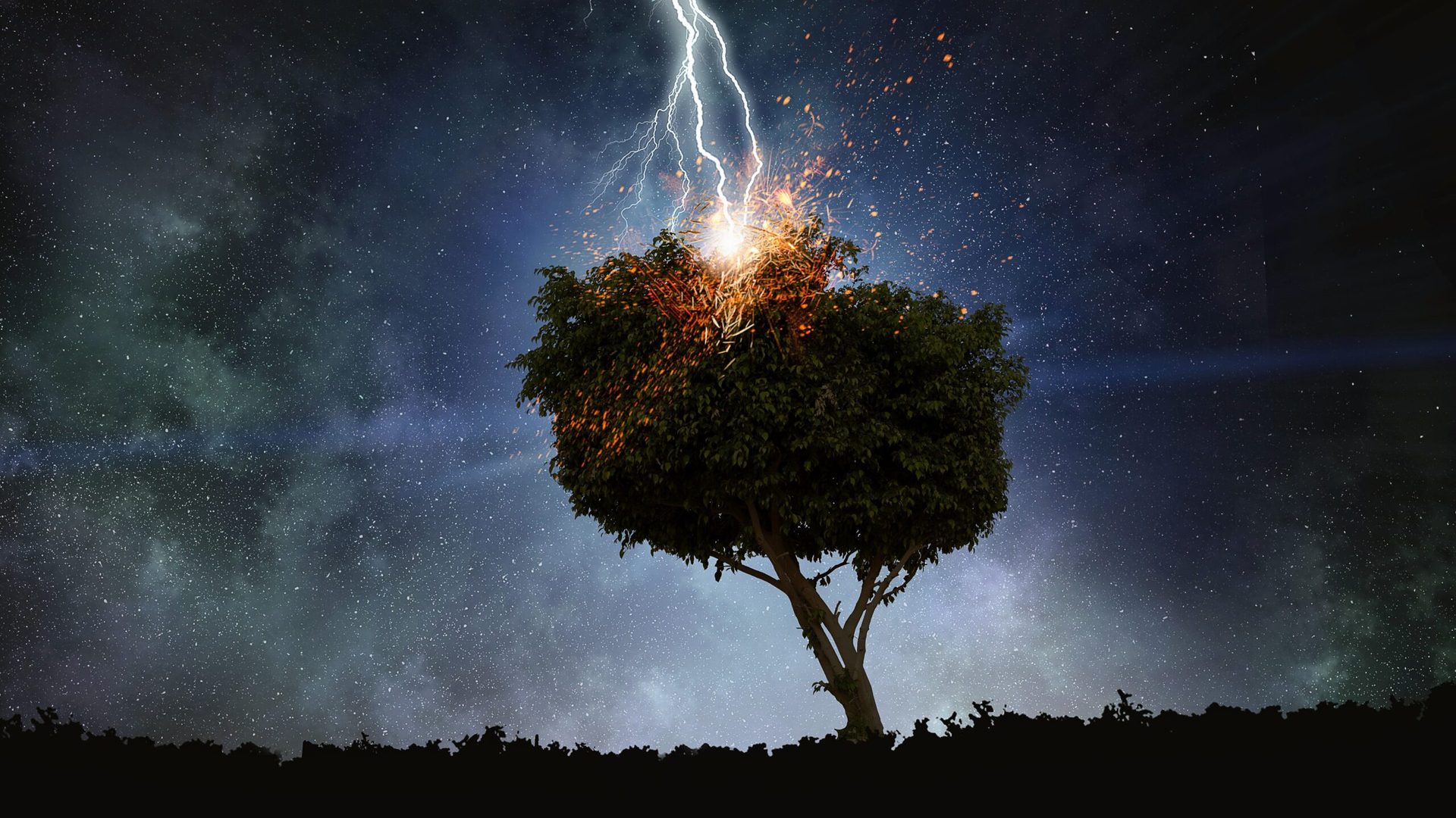 www.earth.com