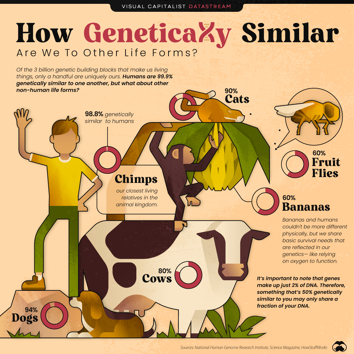 Genetic-Similarities-MAIN-03.jpg