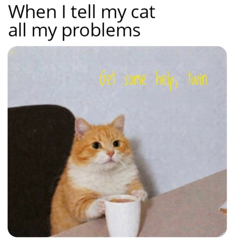 tell-my-cat-all-my-problems-get-some-help-twin