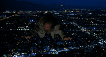 the big lebowski film GIF by Coolidge Corner Theatre