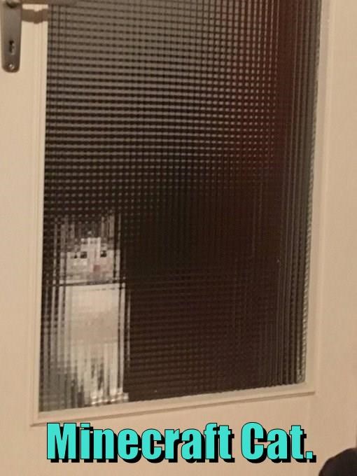 minecraft-cat