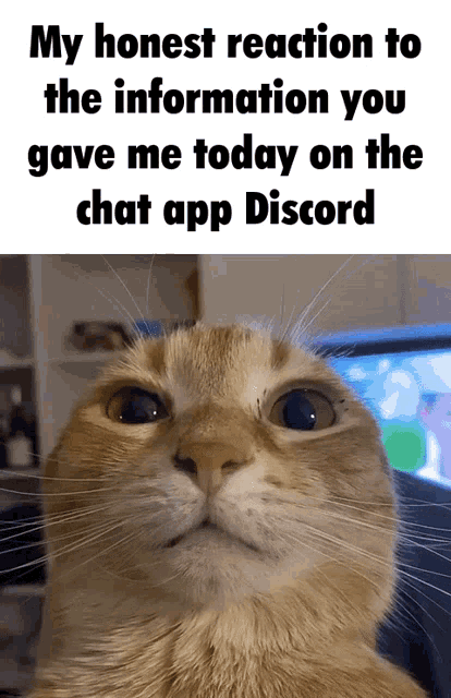 tenor.gif